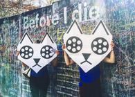 Cat Fly Before I Die